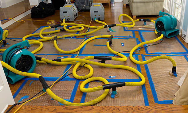Professional Burst Pipe Water Damage technician working in Lewisville, MN